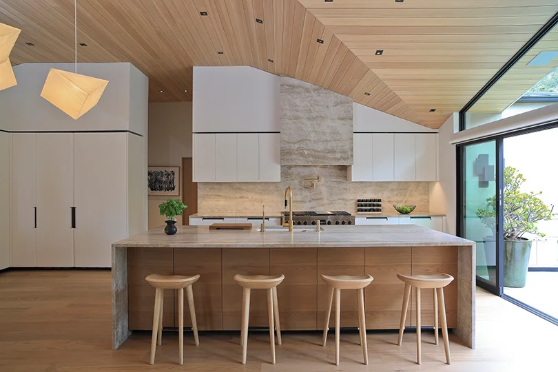 Holst Brothers kitchen showcases their interior design aesthetics.